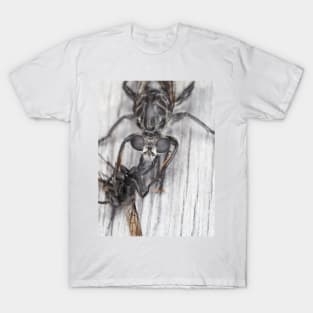 Robber fly with prey T-Shirt